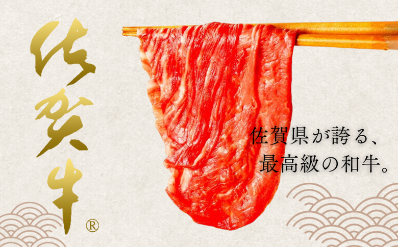 佐賀牛 肩ローススライス 500g：B155-012