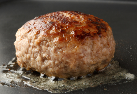 牛100％九州産黒毛和牛入り生ハンバーグ：B165-004