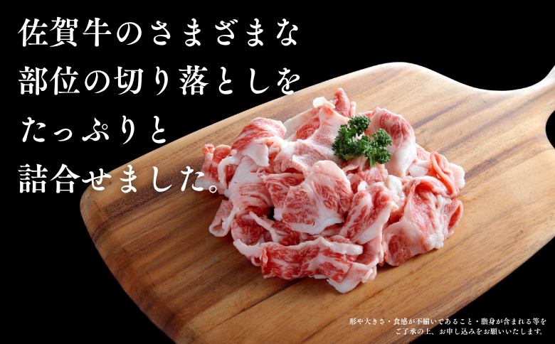 佐賀牛 切り落とし 1kg（500g×2P） 黒毛和牛 牛肉 ブランド牛 九州 和牛 佐賀県 佐賀市：B170-021