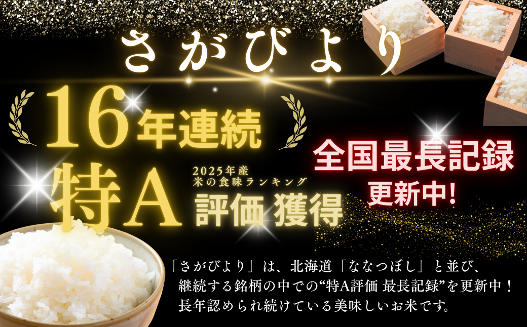 令和7年産 佐賀県産 さがびより 白米 5kg おこめ 米 ：B170-023