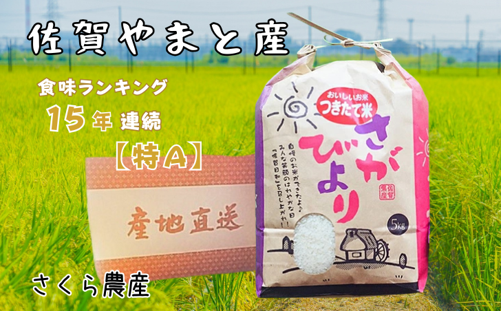 佐賀県大和産「さがびより」5kg 米 農家直送：B170-033