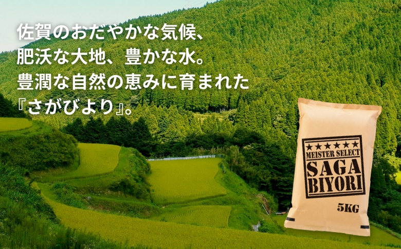 五つ星お米マイスターが厳選！【新米】令和7年産 佐賀県産 さがびより 白米 5kg おこめ 米 ：B175-017