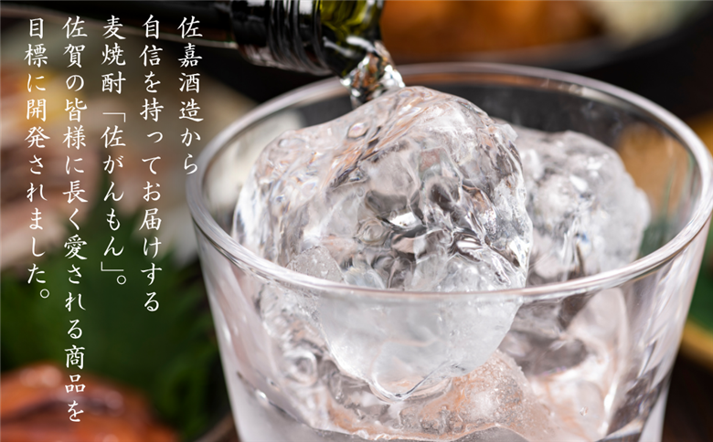 佐嘉酒造 佐がんもん 麦焼酎 25度 900ml×6本：B180-062