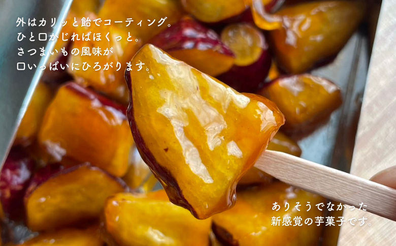 徳用いもあめ4種詰め合わせ 400g×4種（合計1.6kg）：B190-038