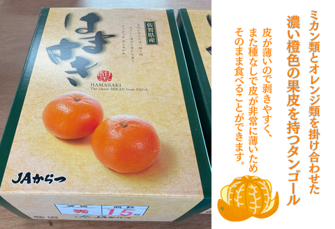佐賀みかん 唐津産【はまさき】麗紅みかん：B210-021