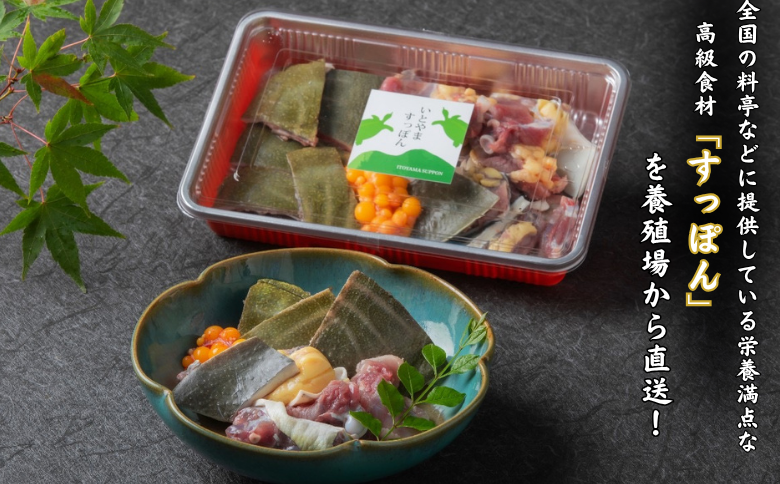 【スープ付き】栄養満点「いとやますっぽん」の鍋セット 300g 佐賀県産 スッポン 冷凍 鍋 カット済み 国産 簡単調理 美容 健康 コラーゲン 九州 佐賀県 佐賀市 ヤマト水産：B240-022