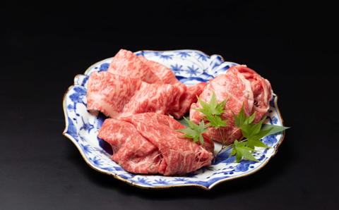 食べ比べ 佐賀牛焼肉4種盛り（100g×4）：B255-004