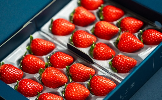 【定期便3回】赤いちご食べ比べ（12月〜2月発送）：B275-004