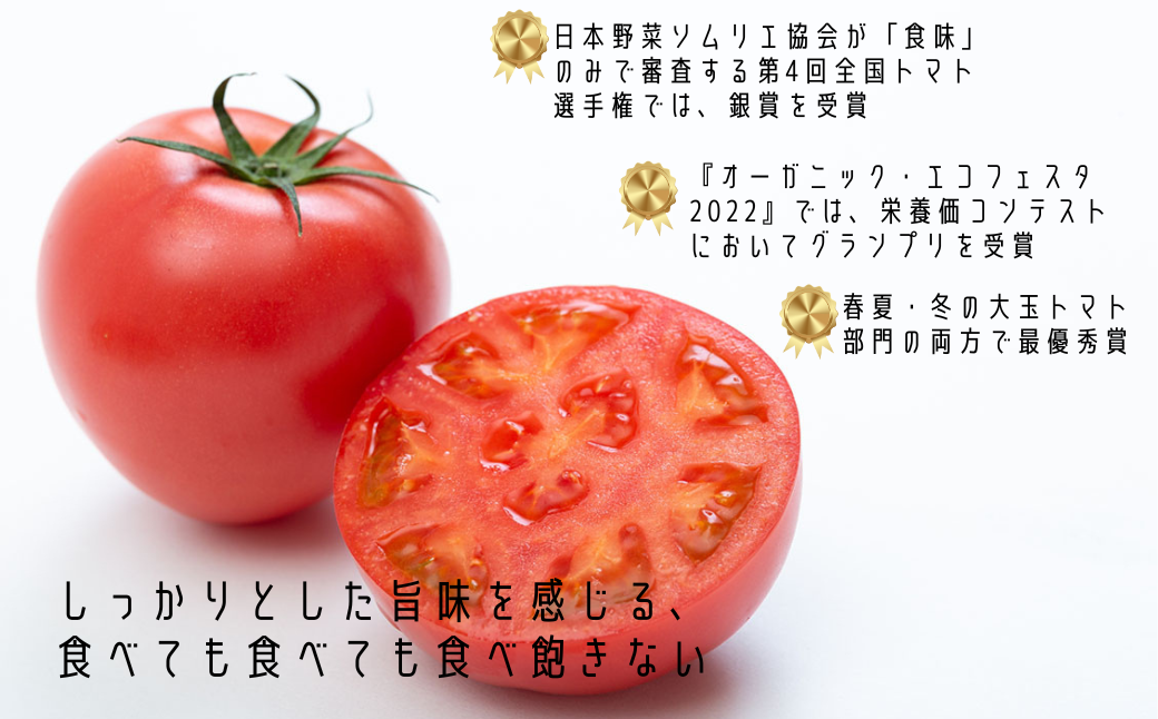 【期間限定】栄養価コンテストでグランプリを受賞した「古賀とまと」 3月～5月発送 トマト 野菜 産地直送 佐賀県 佐賀市：B290-008