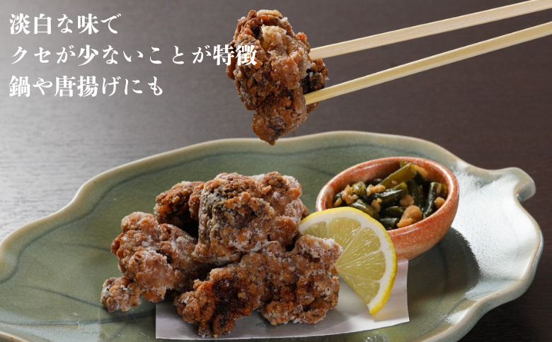 【切り身のみ】栄養満点の「いとやますっぽん」ですっぽん鍋を 500g 佐賀県産 スッポン 冷凍 鍋 カット済み 国産 簡単調理 美容 健康 コラーゲン 九州 佐賀県 佐賀市 ヤマト水産：B315-010