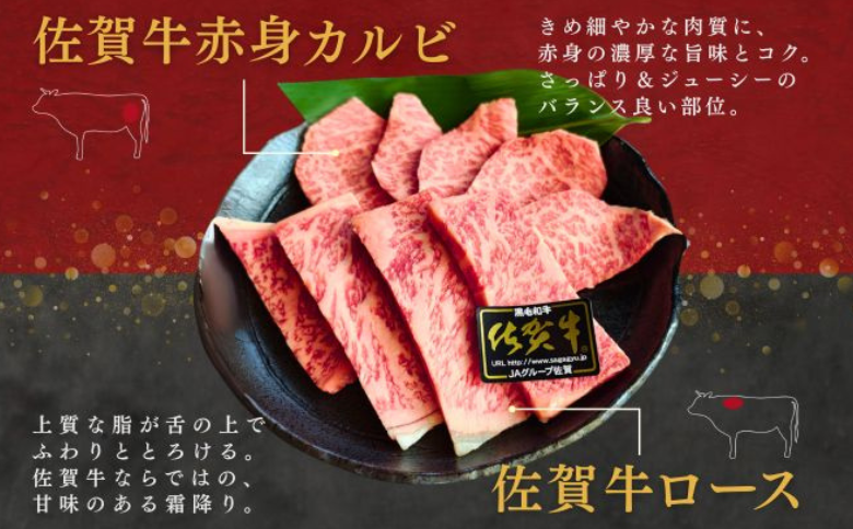 佐賀牛ロース＆佐賀牛赤身カルビ 焼肉用 500g 牛肉 黒毛和牛 赤身 カット済 バーベキュー 九州 佐賀県 佐賀市 佐賀丸美屋 焼肉屋：B325-008