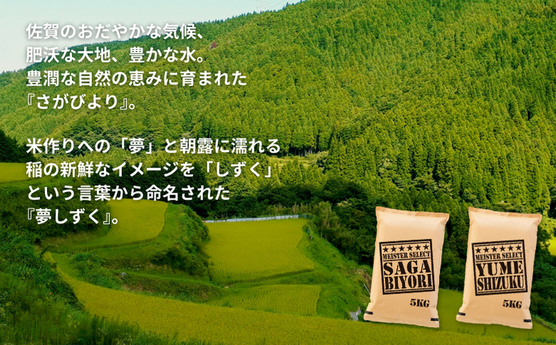 五つ星お米マイスターが厳選！【白米食べ比べ】さがびより5kg・夢しずく5kg 新米 7年産 おこめ 米 ：B325-009