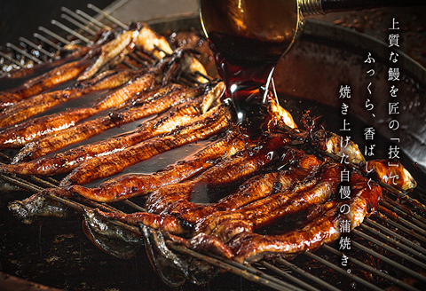 「本庄うなぎ屋」の国産鰻の蒲焼 2尾（2～3人前）：B335-018