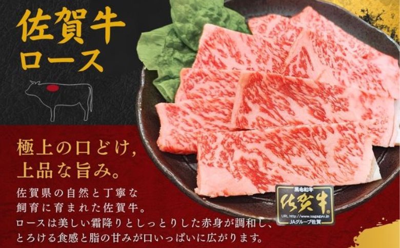佐賀牛 ロース 焼肉用 500g 牛肉 黒毛和牛 カット済 バーベキュー 九州 佐賀県 佐賀市 佐賀丸美屋 焼肉屋：B335-019