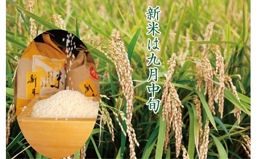 【新米】令和7年産　佐賀市三瀬村産「コシヒカリ」10kg（5kg×2袋）：B335-020