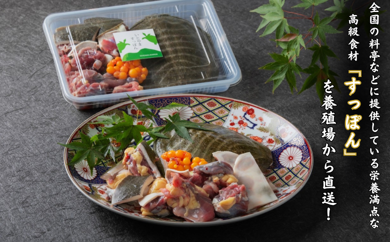 【スープ付き】栄養満点「いとやますっぽん」の鍋セット 500g 佐賀県産 スッポン 冷凍 鍋 カット済み 国産 簡単調理 美容 健康 コラーゲン 九州 佐賀県 佐賀市 ヤマト水産：B350-002