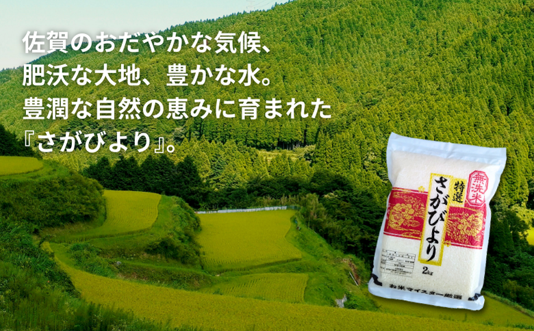 五つ星お米マイスターが厳選！【無洗米】さがびより 2kg×4袋（真空パック）：B350-019