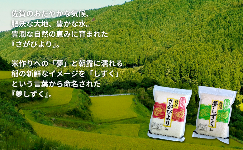 五つ星お米マイスターが厳選！【無洗米】食べ比べセット さがびより2kg×2袋・夢しずく2kg×2袋（真空パック）：B350-021