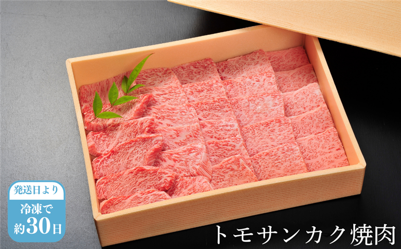 佐賀牛トモサンカク焼肉 500g 赤身 佐賀県産 黒毛和牛 佐賀牛 ブランド牛 国産 肉 牛肉 焼肉：B360-007