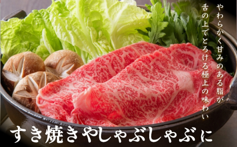 佐賀牛ロース＆佐賀牛赤身 スライス 700g 食べ比べ セット 牛肉 黒毛和牛 赤身 ロース すき焼き しゃぶしゃぶ 九州 佐賀県 佐賀市 佐賀丸美屋 焼肉屋：B370-005