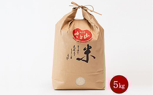 令和7年産 佐賀市三瀬村産「コシヒカリ」20kg（5kg×4袋）：B630-003