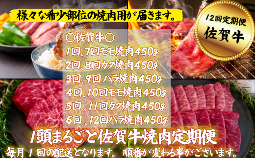 【定期便12回】【牧場直送】1頭まるごと佐賀牛焼肉定期便：C195-005