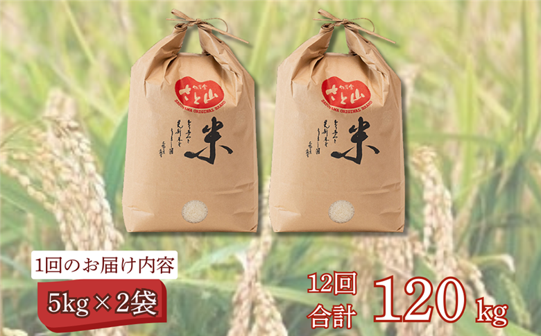 【定期便12回】三瀬村産「コシヒカリ」5kg×2袋 お米 白米 精米 ：C389-004