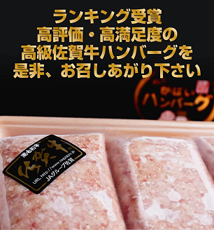 佐賀牛入りがばいハンバーグ6個：B140-034