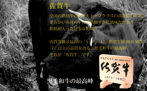 佐賀牛ローススライス1000g：B640-001