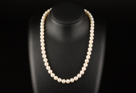 鑑別書付 8～8.5アコヤ真珠ネックレス・イヤリングorピアスセット：C669-001