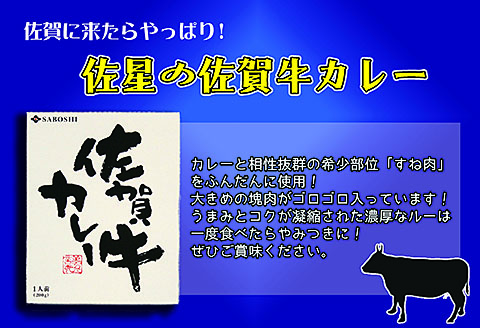 希少部位使用 佐賀牛カレー満腹セット(8個)：B250-004