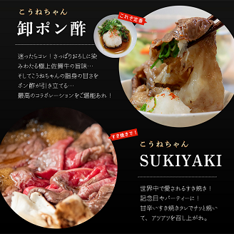 佐賀牛切り落としコウネちゃん300g：B110-022