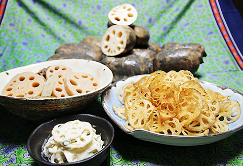 うんっま！！佐賀れんこん 2kg：B125-008