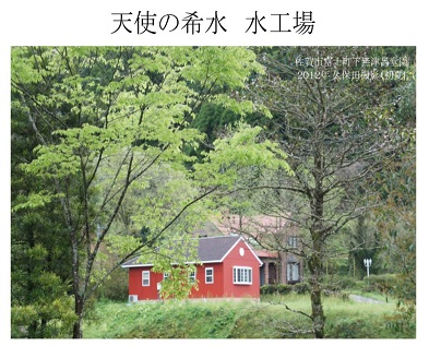 『天使の希水』500ml×24本入り（計12L）：B170-003