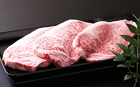 【全12回定期便】佐賀牛15kgコース（5～10人分）：C858-001