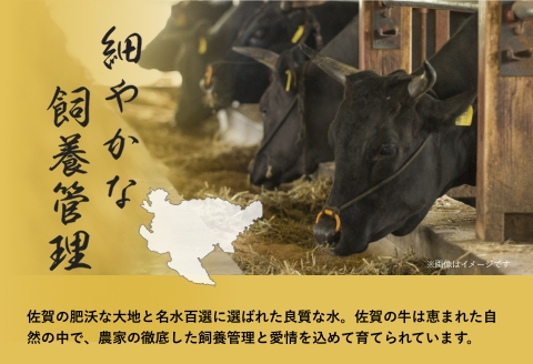 佐賀牛ロースステーキ 400g（2枚入）：B235-012