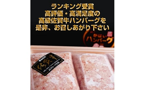 【偶数月定期便（年6回）】佐賀牛入りハンバーグ 5個：B580-003