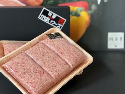 佐賀牛入りがばいハンバーグ10個：B160-011