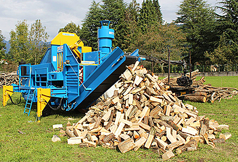 薪の王様「樫」：B140-032