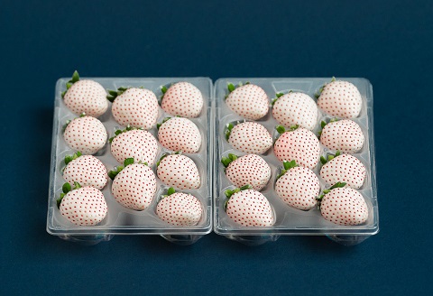 佐賀県産いちご パールホワイト：B190-025