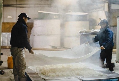 佐嘉酒造 特別純米酒 窓乃梅：B110-024