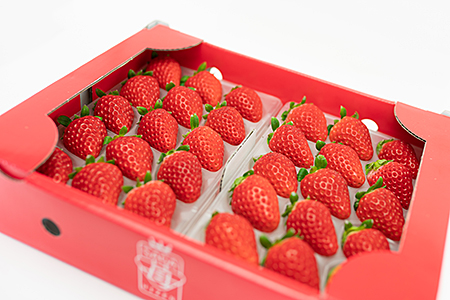 【定期便3回】佐賀県産 ３種いちご食べ比べ【2月から4月発送】：B395-006