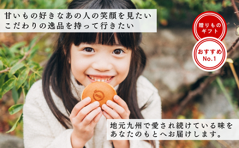 累計100万個以上販売 どら焼き さがどら(15個入)：B155-010