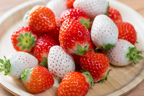 佐賀県産いちご 赤いちごと白いちご 食べ比べセット：B140-067