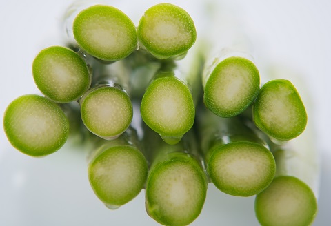 たけだファーム産地直送グリーンアスパラガス 2Lサイズ1kg：B170-015