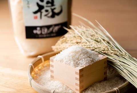 佐賀特A米さがびよりと佐賀のり2種：B190-040