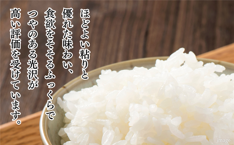 【新米】令和7年産 佐賀県産「夢しずく」5kg お米 コメ こめ：B120-067