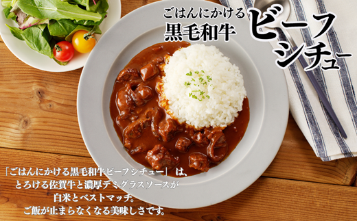 ごろっとカレー・ビーフシチューセット 佐賀牛 カレー ビーフシチュー レトルト 湯煎 レンジ調理 簡単 ：A080-012