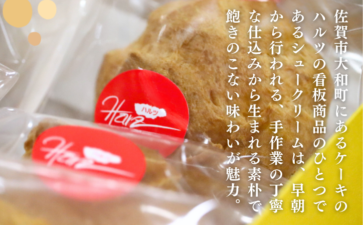 ハルツのシュークリーム 6個 創業40年 スイーツ 洋菓子 お菓子 おやつ デザート 小分け 個包装 ご褒美 お取り寄せ 人気 冷凍配送 送料無料 佐賀県 佐賀市：A090-036