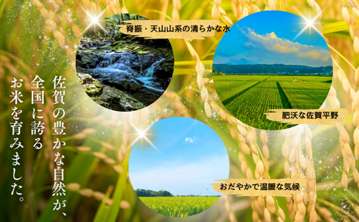 令和7年 佐賀県産夢しずく 白米6kg：B170-037